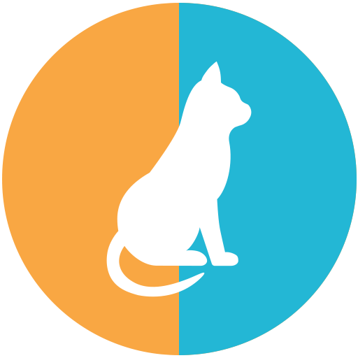 Cat Boarding